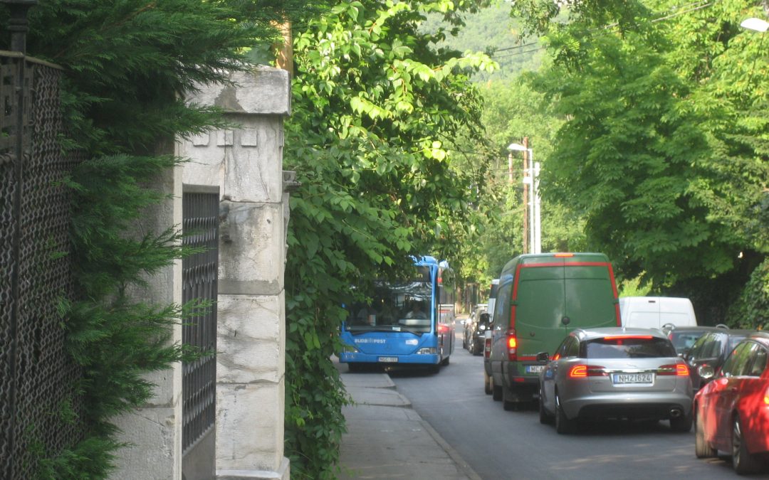 Közérdekű tevékenység